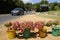 Flowers on sale at the roadside S Africa