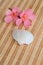 Flowers and seashell on bamboo mat