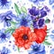 Flowers set. Poppies, bluebells, anemone, cornflower, white background, botanical illustration, watercolor flora design