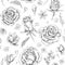 Flowers Sketch Pattern