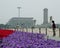 Flowers from the square in Beijing.