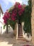 Flowers staircase