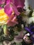Flowers Still life. Beautiful colorful bouquet on moody background. Stylish artistic composition of lathyrus, love in the mist,