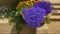 Flowers in a stone vase near the steps leading to the entrance of the house