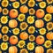 Flowers sunflowers and pumpkin hand-drawn. Watercolor illustration. Seamless pattern.