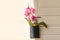 Flowers surprise on the door handle. Pink orchid in gift bag on white door in the room