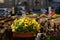 Flowers tables and chairs of an outdoor cafe in europe