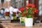 Flowers tables and chairs of an outdoor cafe in europe