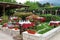 Flowers, tables and chairs in outdoor restaurant terrace