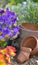 Flowers and terra cotta pots on the soil