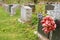 Flowers on a tombstone in a cemetary with many tombstones