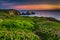 Flowers and trail on a bluff above Rodeo Beach at sunset