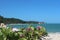 Flowers on tropical beach background