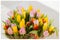 Flowers tulips. Bouquet . Colored bouquets of tulips. Greeting card for all occasions, especially spring. For romantic