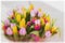 Flowers tulips. Bouquet . Colored bouquets of tulips. Greeting card for all occasions, especially spring. Selective