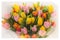 Flowers tulips. Bouquet . Colored bouquets of tulips. Greeting card for all occasions, especially spring. Top view