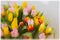 Flowers tulips. Colored bouquets of tulips. Greeting card for all occasions, especially spring. Selective focus. For
