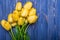 Flowers tulips yellow bouquet on blue backgraund