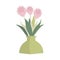 Flowers in vase Pink protea Flat isolated illustration