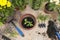 Flowers and vegetable with gardening tools outside the potting shed