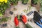 Flowers and vegetable with gardening tools outside the potting shed