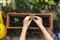 Flowers and vegetable with gardening tools outside the potting shed