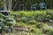 Flowers, vegetable plants, aromatic plants and garden chairs, in the vegetable garden, on the first days of spring