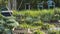 Flowers, vegetable plants, aromatic plants and garden chairs, in the vegetable garden, on the first days of spring