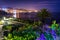 Flowers and view of Laguna Beach at night