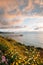 Flowers and view of Scripps Pier at sunset  in La Jolla, San Diego, California