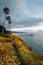 Flowers and view of Scripps Pier at sunset  in La Jolla, San Diego, California