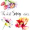 Flowers watercolor illustration with title the best spring ever