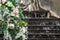 Flowers wedding floral decoration against the backdrop of a fountain, copy space