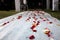 Flowers on Wedding Path