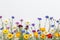 Flowers on white background. Top view, flat lay