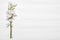 Flowers white bells on a white wooden background