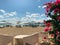 Flowers and white chairs on morning sandy beach on background with sun umbrellas and chair lounges