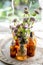 Flowers Wild basil , Clinopodium vulgare or Satureja vulgaris close-up near cosmetic bottles with a pipette and oils