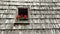 Flowers in window box in wood shingle roof