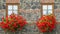 Flowers in window boxes