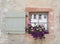 Flowers and Window boxes