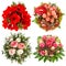 Flowers for Winter Holidays. Roses, amaryllis, protea