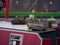 Flowers in a wooden box on deck of a canal narrow boat / house boat