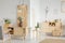 Flowers on wooden cupboard in white living room interior with ar