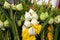 Flowers for worshiping Buddha lotus species