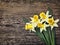 Flowers yellow daffodils on a wooden vintage background