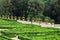 Flowerspots with decorative orange in Villa Doria Pamphili at Via Aurelia Antica