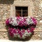 Flowery balcony