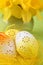 Flowery Easter eggs and daffodils