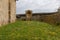 Flowery field in the medieval village of Monteriggioni.